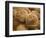 Bakery Bread, Norway-Russell Young-Framed Photographic Print