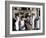 Bakery, Group Picture-null-Framed Photographic Print