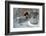 Bakery in Pompeii, 1st century-Unknown-Framed Photographic Print