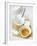Baking Ingredients (Egg Yolk and Beaten Egg White)-Ira Leoni-Framed Photographic Print