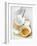 Baking Ingredients (Egg Yolk and Beaten Egg White)-Ira Leoni-Framed Photographic Print