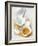 Baking Ingredients (Egg Yolk and Beaten Egg White)-Ira Leoni-Framed Photographic Print