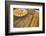 Baklava Shop, Istanbul, Turkey, Europe-Neil Farrin-Framed Photographic Print