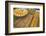 Baklava Shop, Istanbul, Turkey, Europe-Neil Farrin-Framed Photographic Print