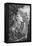 Balaam's Ass, C1790-1834-null-Framed Premier Image Canvas