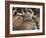 Balafon Players During Festivities, Sikasso, Mali, Africa-De Mann Jean-Pierre-Framed Photographic Print