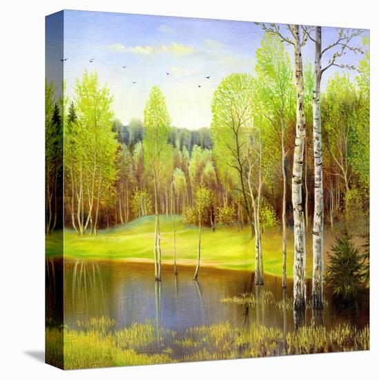 Stretched Canvas Print, , large