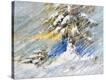 Stretched Canvas Print