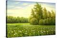 Stretched Canvas Print