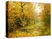 Stretched Canvas Print