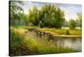 Stretched Canvas Print