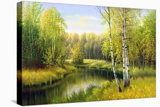 Stretched Canvas Print, , large