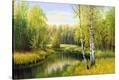 Stretched Canvas Print