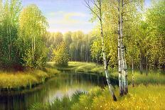 Summer Wood Lake With Trees And Bushes-balaikin2009-Framed Art Print