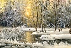 Winter Landscape With The Wood River-balaikin2009-Art Print