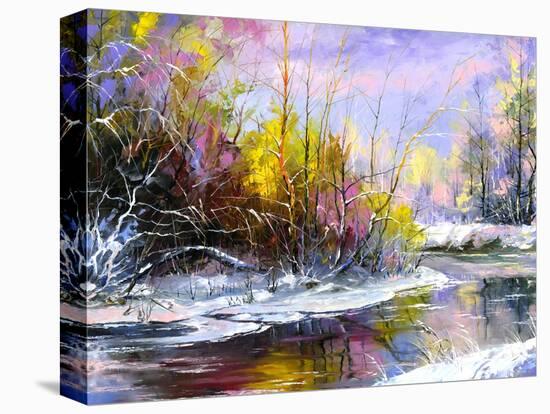 Stretched Canvas Print, , large