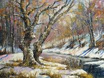 Winter Landscape With The Wood River-balaikin2009-Art Print