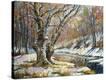 Stretched Canvas Print