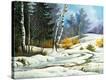 Stretched Canvas Print