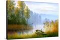 Stretched Canvas Print