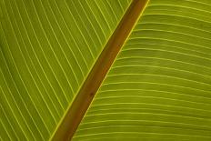 Boating, Periyar Tiger Reserve, Thekkady, Kerala, India, Asia-Balan Madhavan-Photographic Print