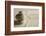 Balance (Shallow Depth of Field)-og-vision-Framed Photographic Print