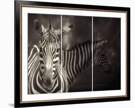 Balance-Irene Suchocki-Framed Giclee Print