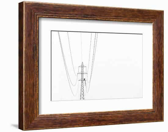 Balance-Kristjan Rems-Framed Photographic Print