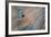 Balance-Doug Chinnery-Framed Photographic Print