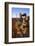 Balanced Rock, Big Bend National Park, Texas-Larry Ditto-Framed Photographic Print