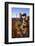 Balanced Rock, Big Bend National Park, Texas-Larry Ditto-Framed Photographic Print