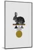 Balancing Act - Rabbit-Dana Shek-Mounted Art Print