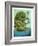 Balancing Hedgehog and Friends-Wayne Anderson-Framed Giclee Print