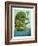 Balancing Hedgehog and Friends-Wayne Anderson-Framed Giclee Print