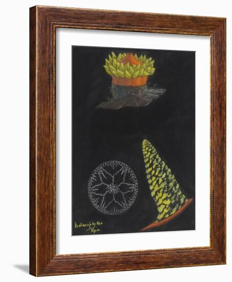 Balanophyllia Regia: Scarlet and Gold Star-Coral-Philip Henry Gosse-Framed Giclee Print