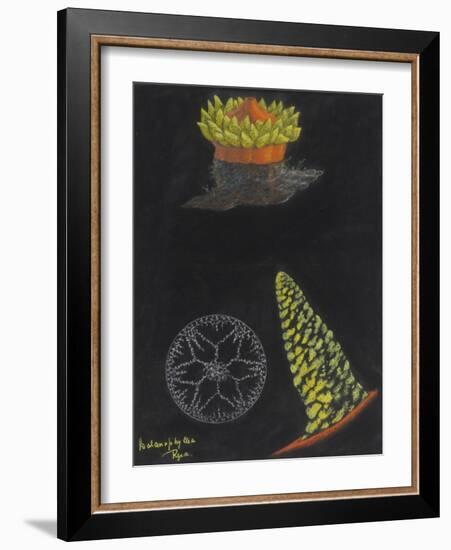 Balanophyllia Regia: Scarlet and Gold Star-Coral-Philip Henry Gosse-Framed Giclee Print