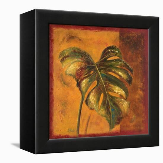 Balazo Movimiento II-Patricia Pinto-Framed Stretched Canvas