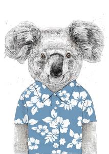 Koalas Art For Sale Prints Paintings Posters Framed Wall