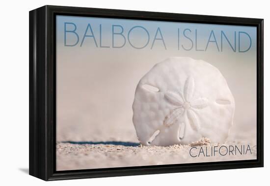 Balboa Island, California - Sand Dollar and Beach-Lantern Press-Framed Stretched Canvas