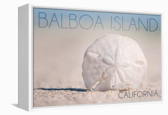 Balboa Island, California - Sand Dollar and Beach-Lantern Press-Framed Stretched Canvas