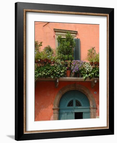 Balcony Garden in Historic Town Center, Verona, Italy-Lisa S. Engelbrecht-Framed Photographic Print