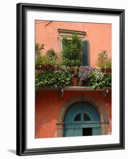 Balcony Garden in Historic Town Center, Verona, Italy-Lisa S. Engelbrecht-Framed Photographic Print