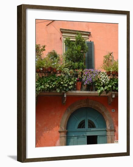 Balcony Garden in Historic Town Center, Verona, Italy-Lisa S. Engelbrecht-Framed Photographic Print