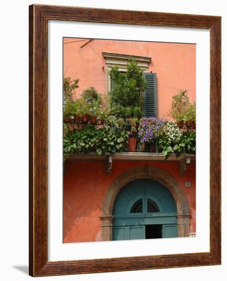 Balcony Garden in Historic Town Center, Verona, Italy-Lisa S. Engelbrecht-Framed Photographic Print