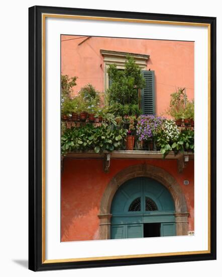 Balcony Garden in Historic Town Center, Verona, Italy-Lisa S. Engelbrecht-Framed Photographic Print