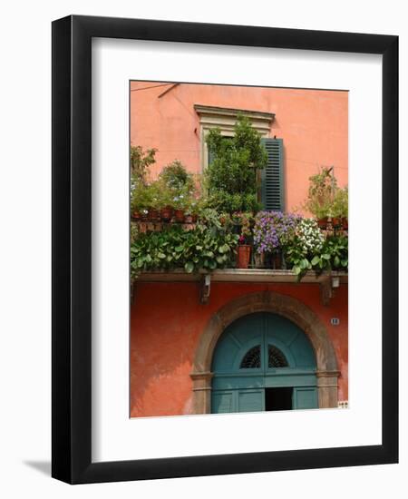 Balcony Garden in Historic Town Center, Verona, Italy-Lisa S. Engelbrecht-Framed Photographic Print