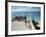 Balcony Overlooking Indian Ocean, Nungwi Beach, Island of Zanzibar, Tanzania, East Africa, Africa-Yadid Levy-Framed Photographic Print