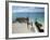 Balcony Overlooking Indian Ocean, Nungwi Beach, Island of Zanzibar, Tanzania, East Africa, Africa-Yadid Levy-Framed Photographic Print