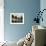 Balcony with Flowers and Trees, Puerto Rico-Greg Johnston-Framed Photographic Print displayed on a wall