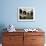 Balcony with Flowers and Trees, Puerto Rico-Greg Johnston-Framed Photographic Print displayed on a wall